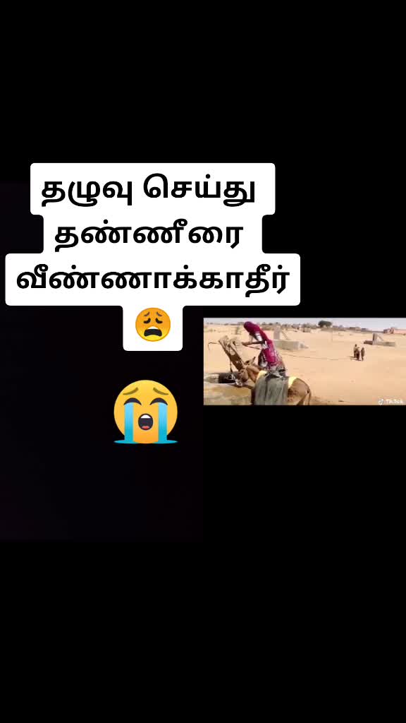 @user4593056788885