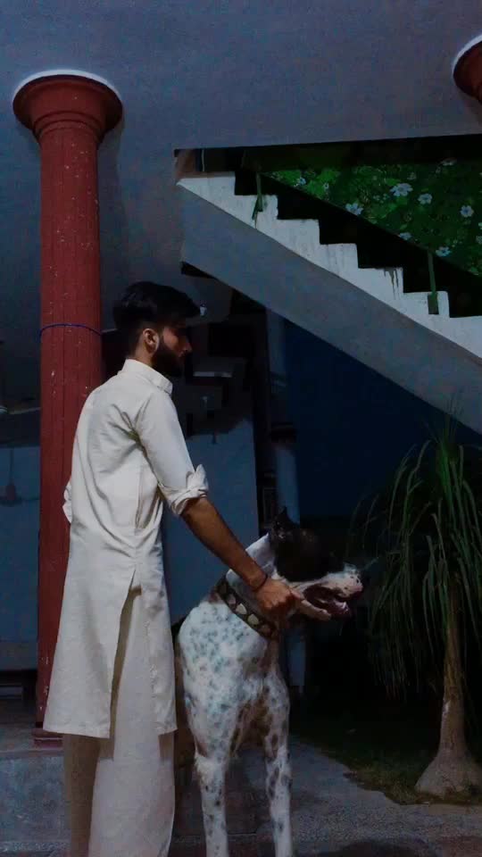 @MALIK USAMA SUBHAN
