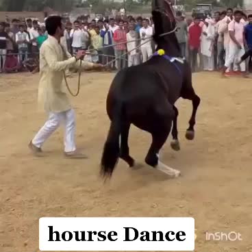 @saimargam345