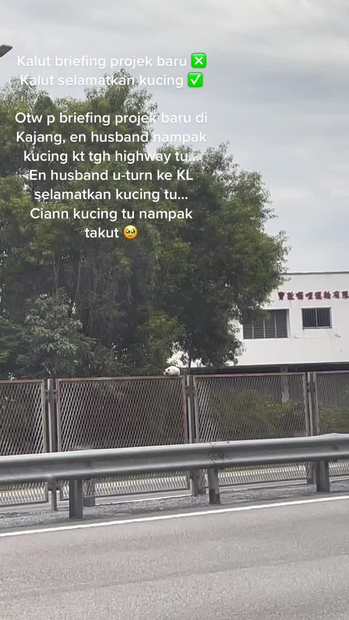 @Azie Aziz