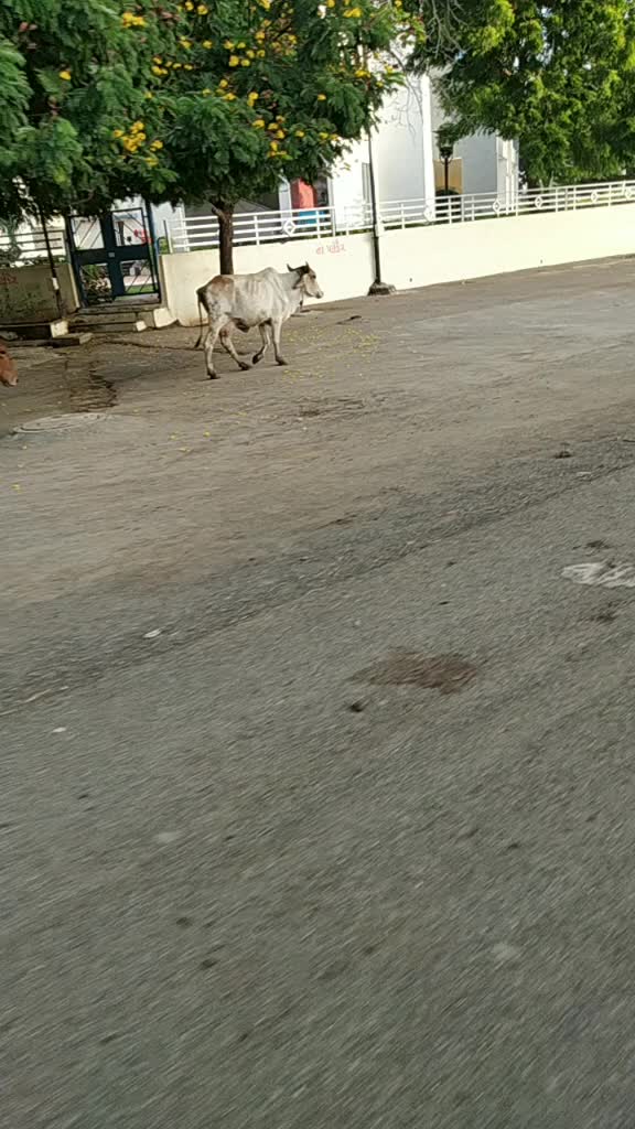 @Karmadeepsinh Jadeja