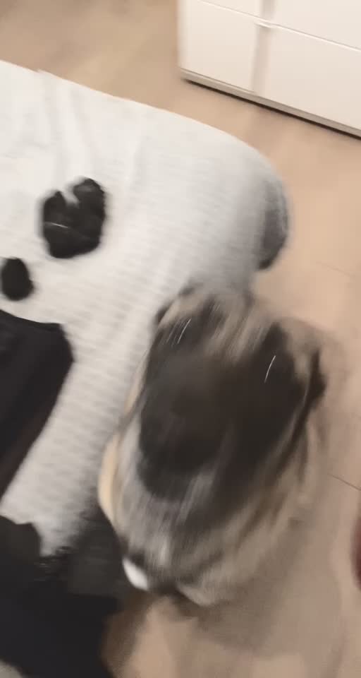 @Jeanne