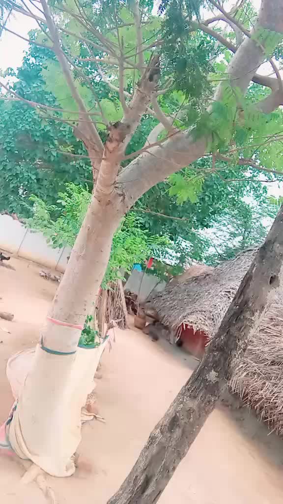 @Thiru Thiru
