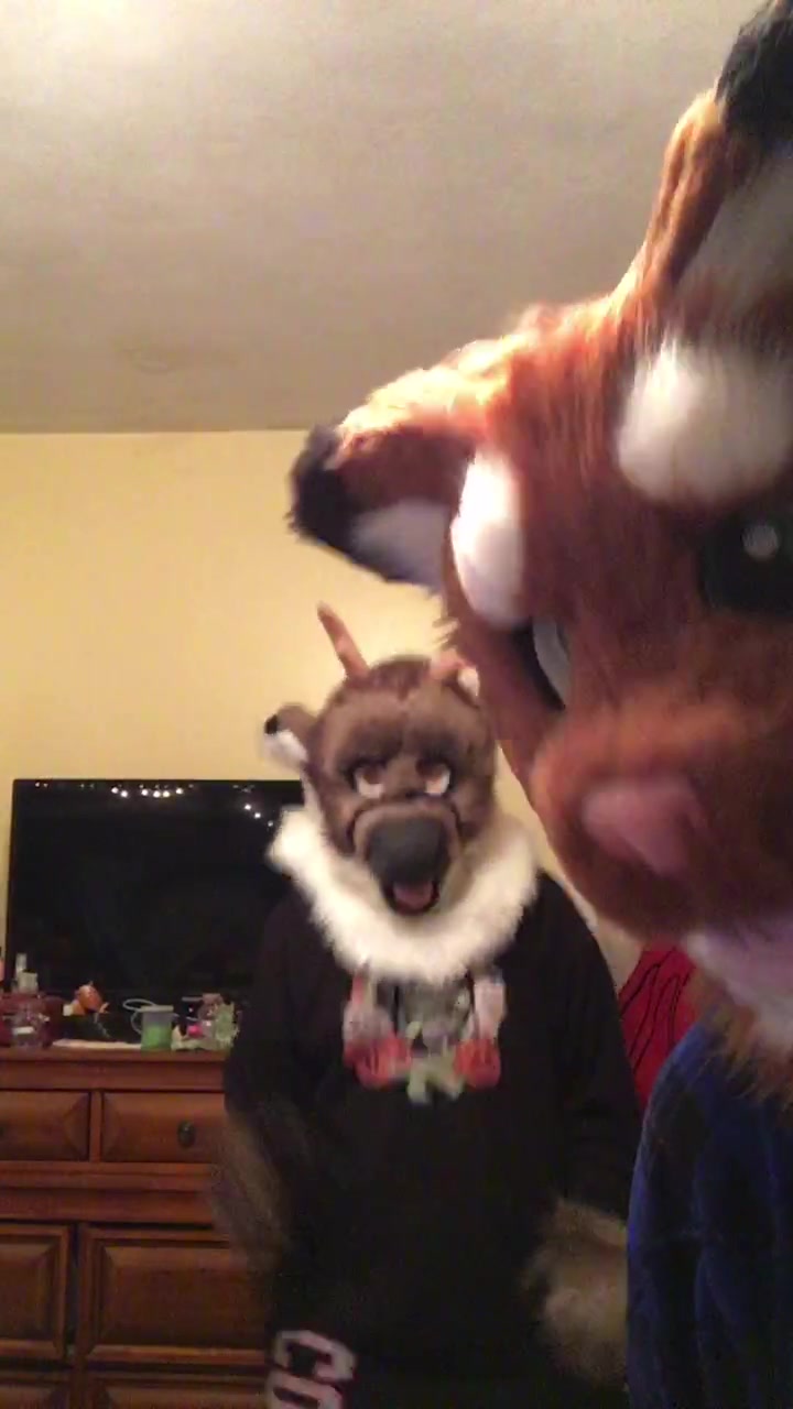 @Twix the Cat