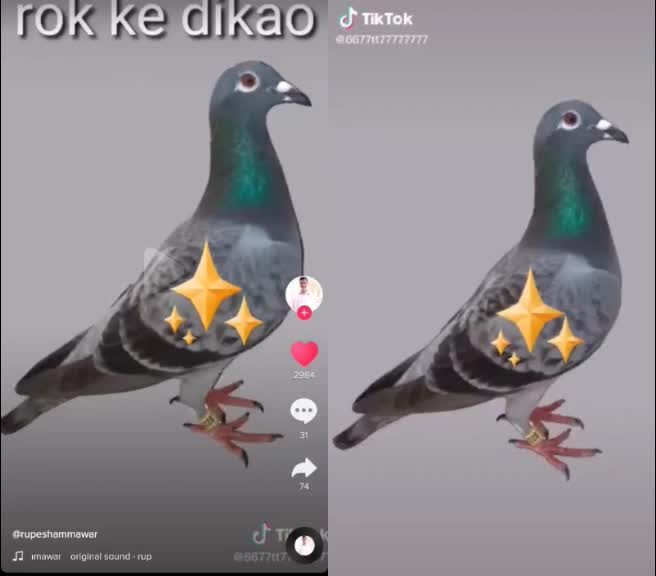 @srinusri