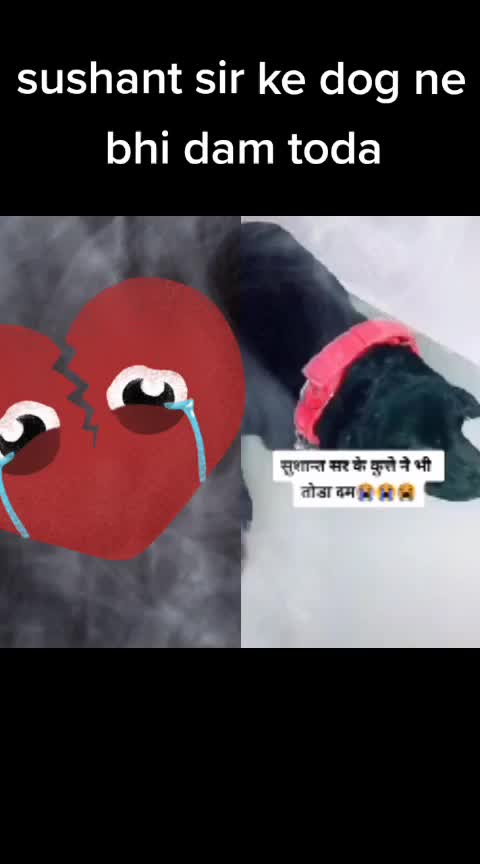 @anitarayanol