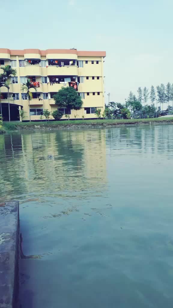 @Md Siam Hossain Desh