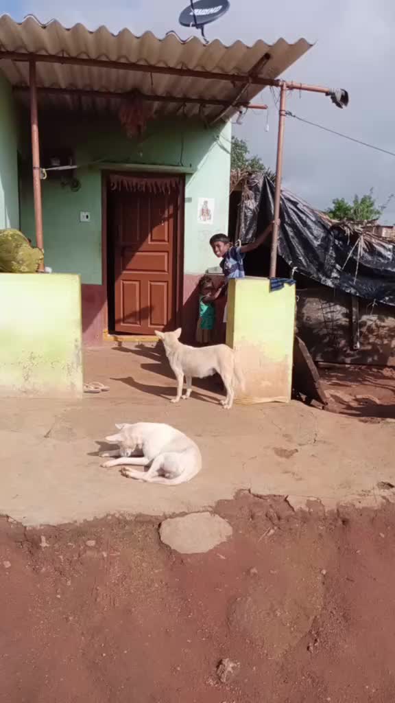 @Krishna Sujatha