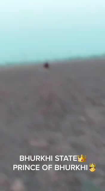 @Raj Mukhi
