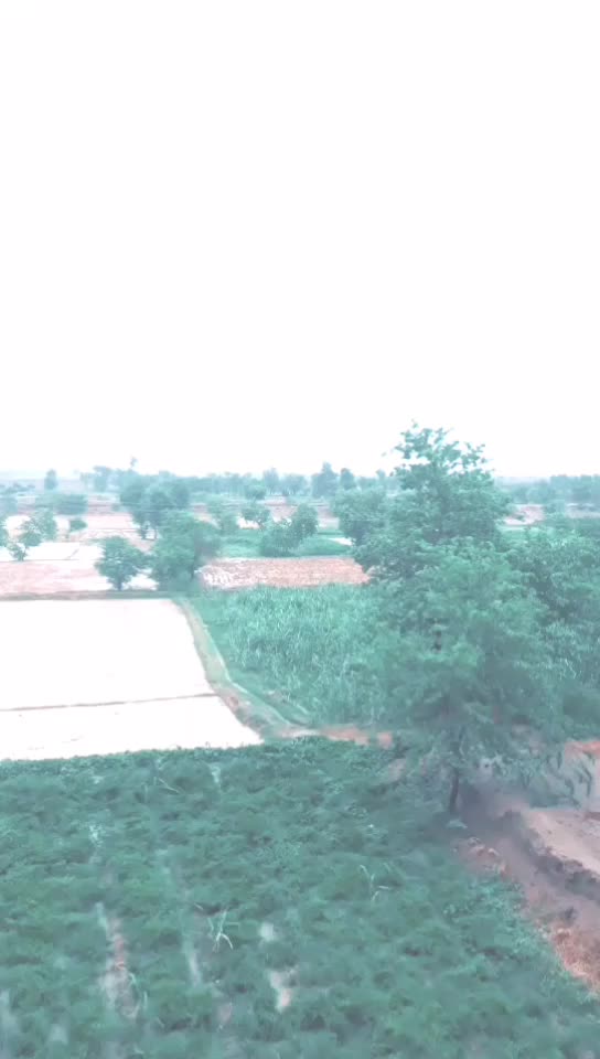 @سٙردار عِرفٙان علّی ڈوگٙر