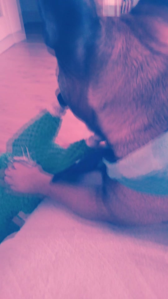 @nwow_pug.tok
