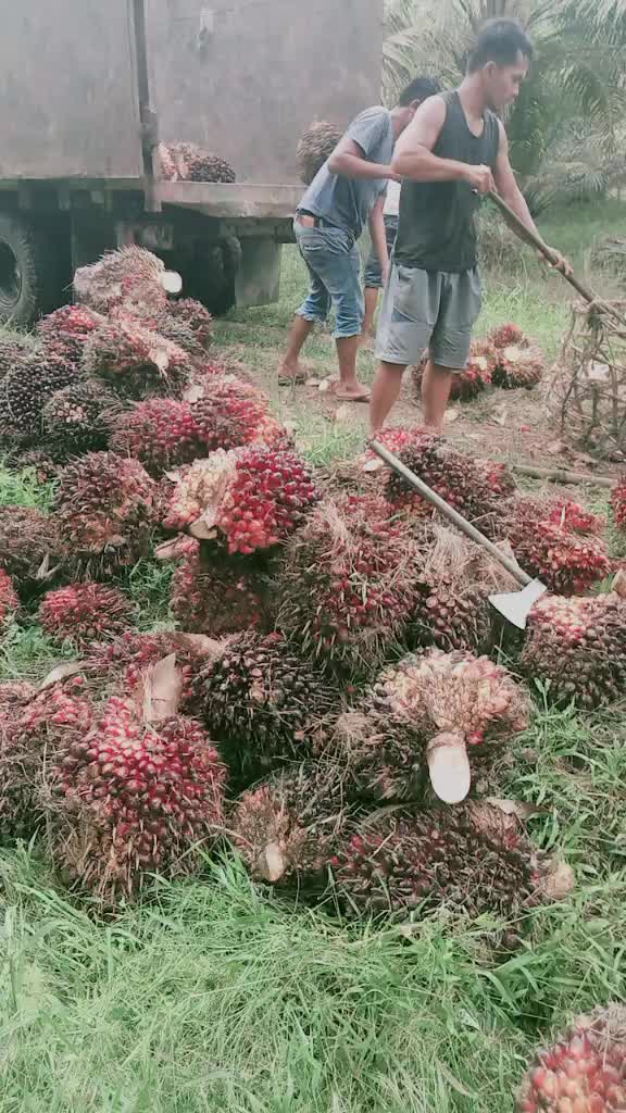 @Bunga Simanjuntak ✨