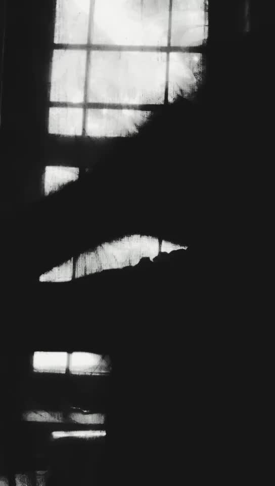@__Ab_HiR_aMi__