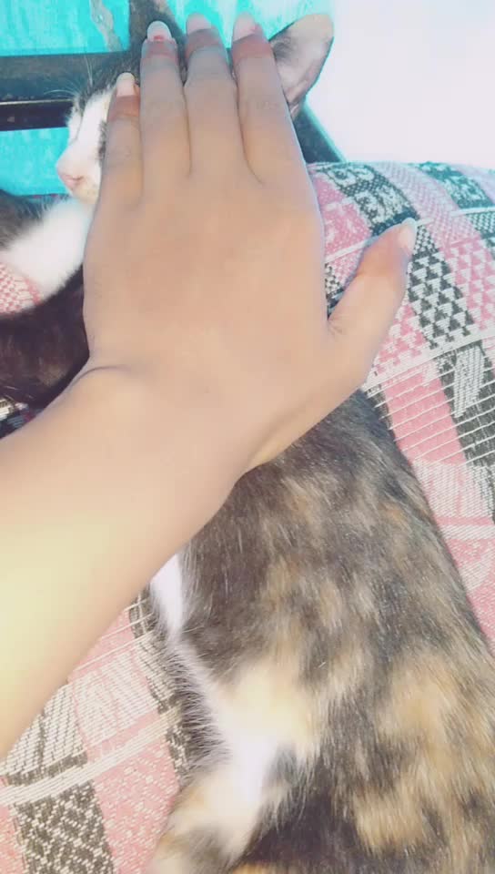 @ଗୁଞ୍ଜନ୍ ମହାପାତ୍ର