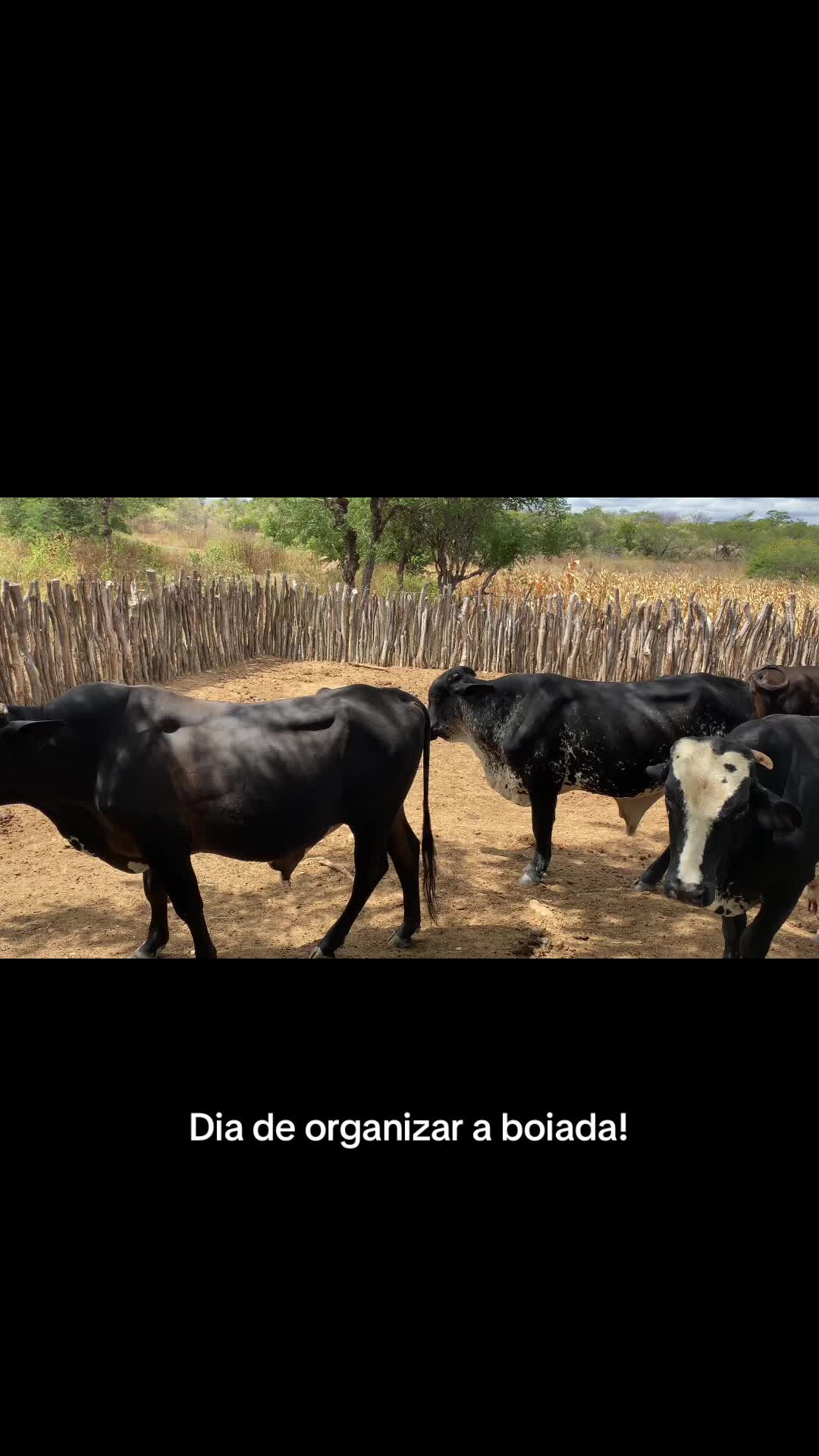 @Agro