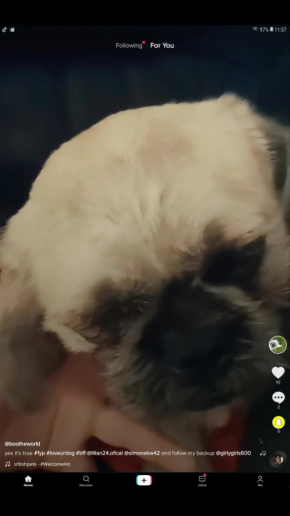 @NachoAndFriends