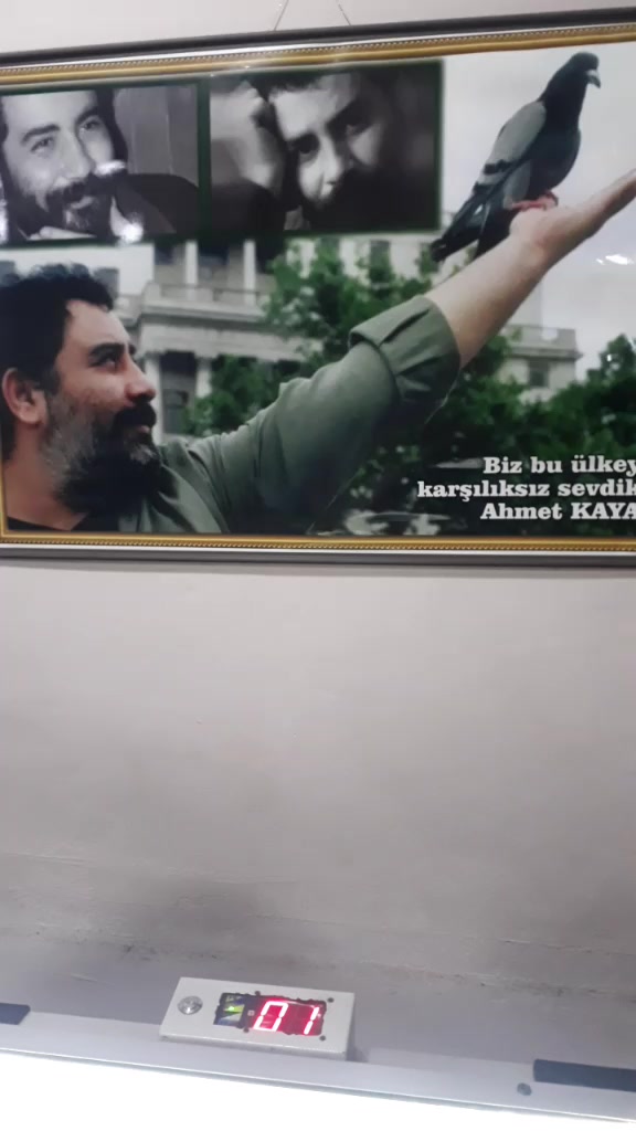 @Fırat Ekin