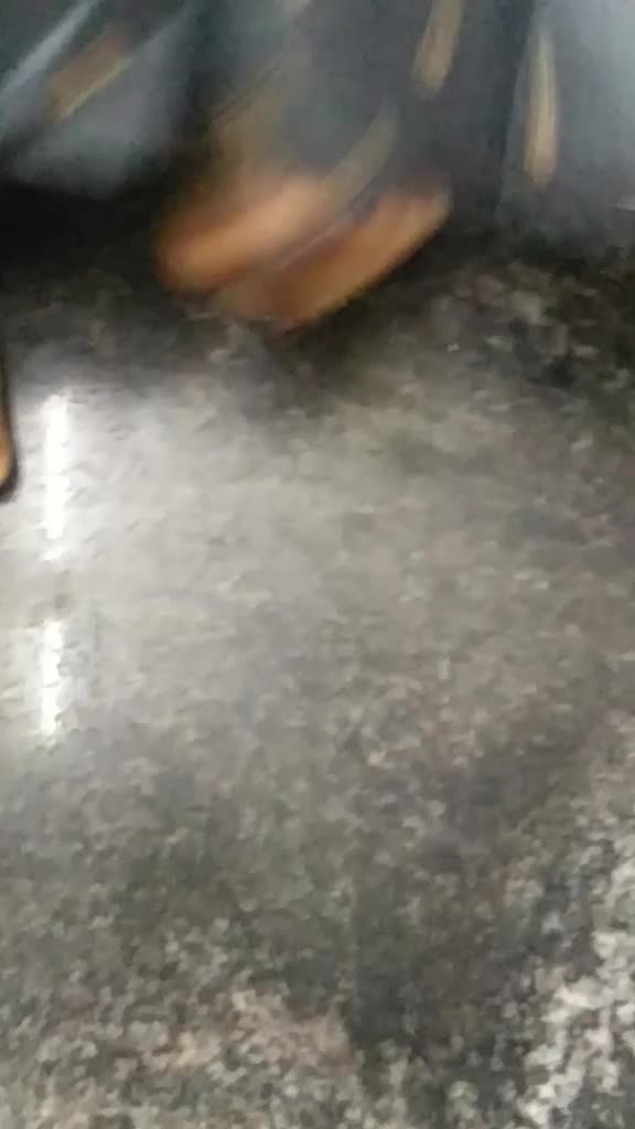 @Pavitra Pallu