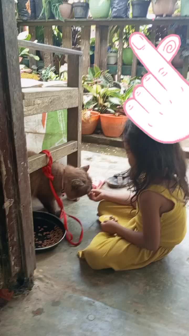 @Wahyuningsih