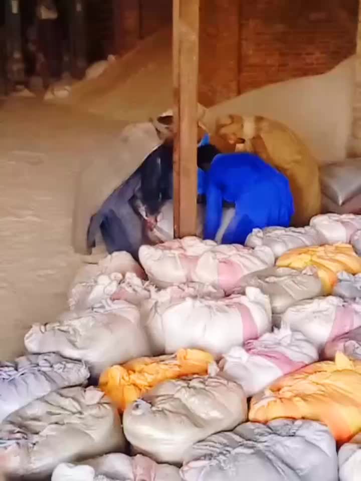 @Rashiddeenri301