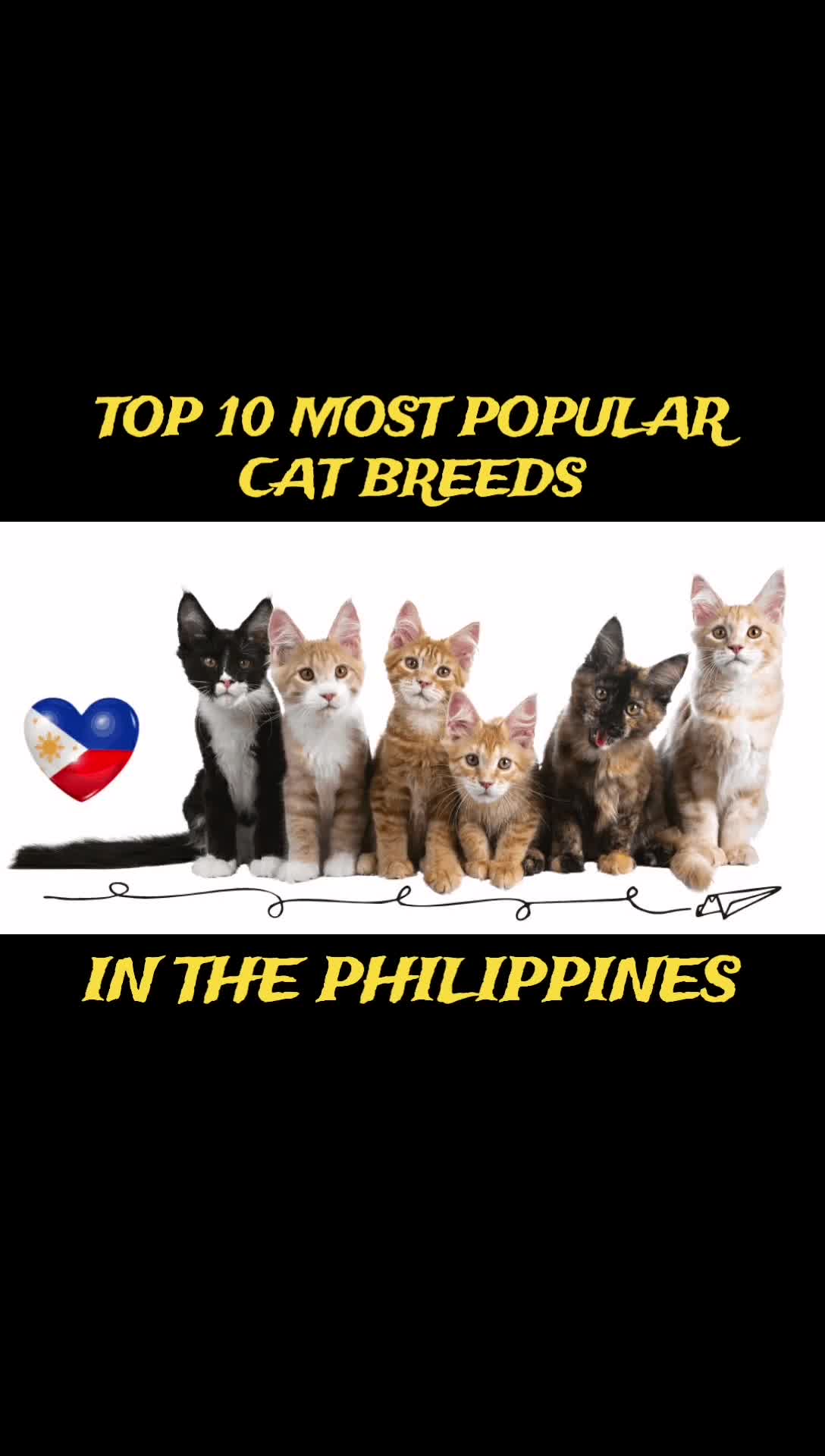 @CRAZYPinoy