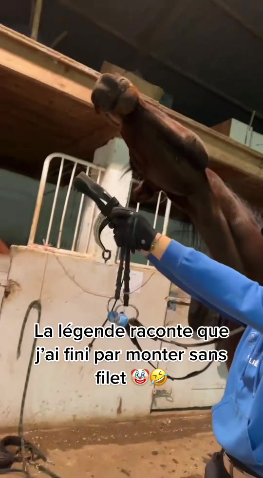 @Candice Dejoie