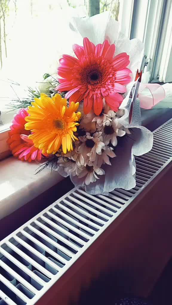 @&ouml;zlem