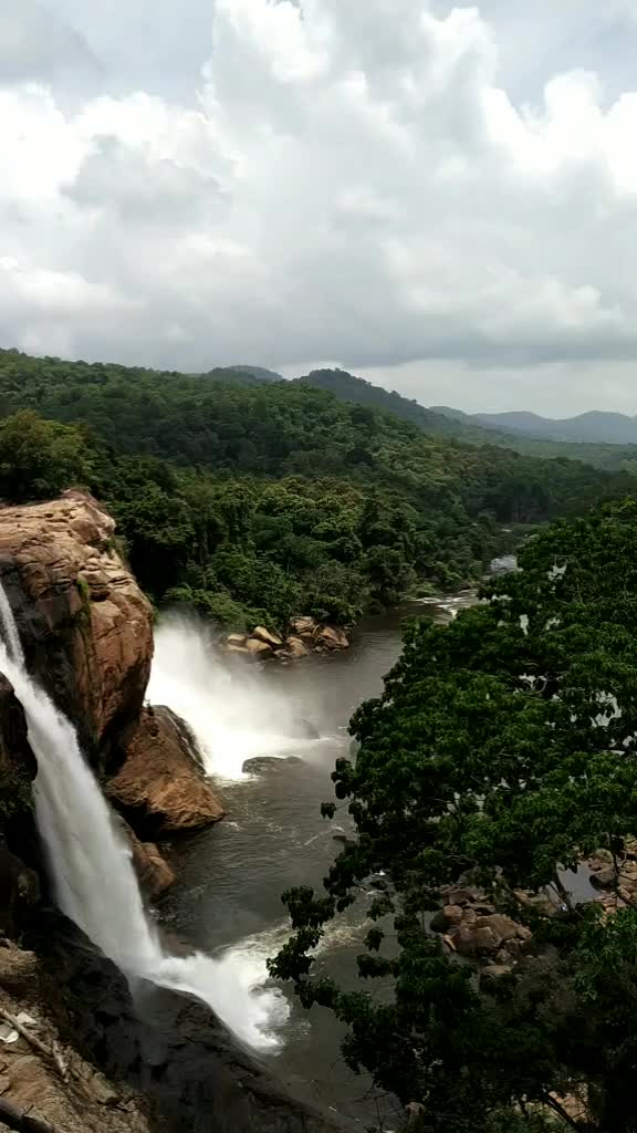 @thadikaran