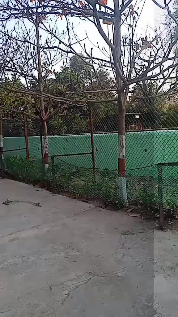 @Shubham Suryawanshi