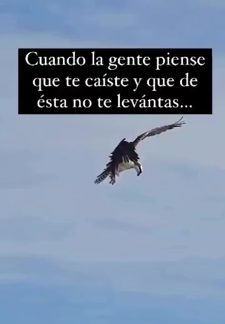 @Pedro Peñalba