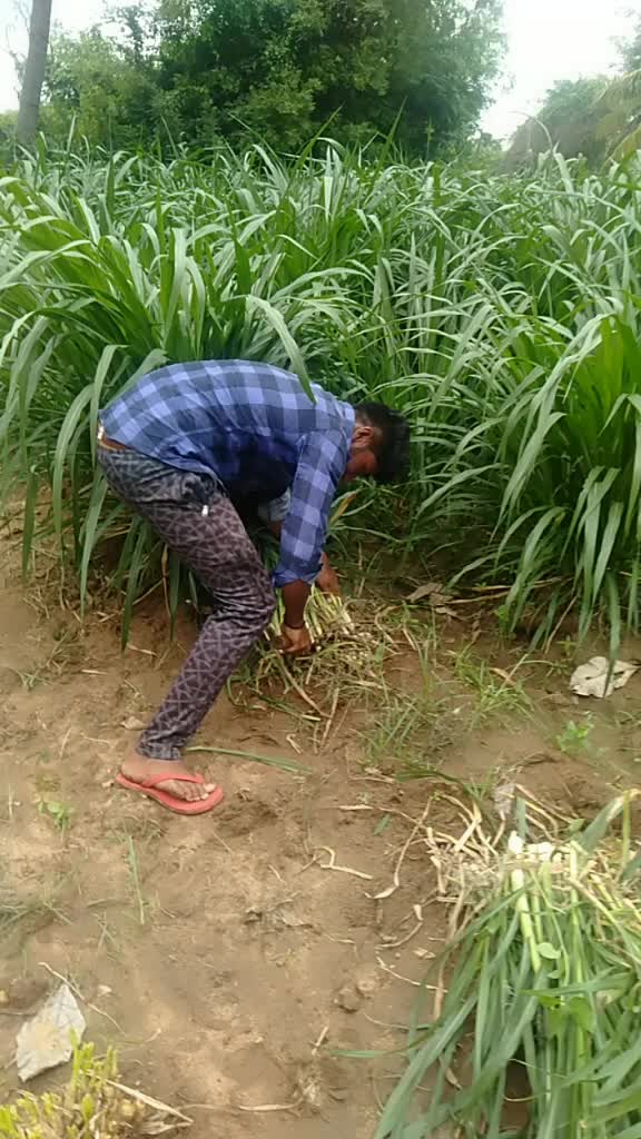 @Muttu Gowda