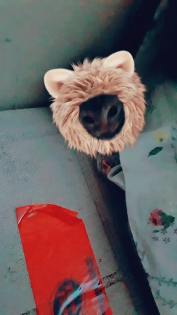 @Bunniegirl27