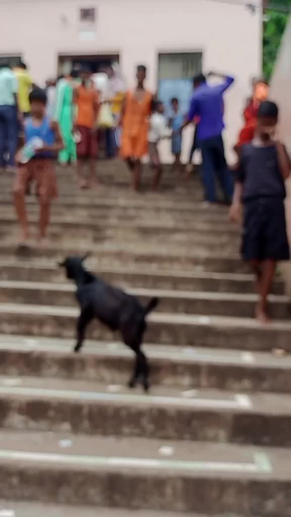 @Laxmi pd yadav 935