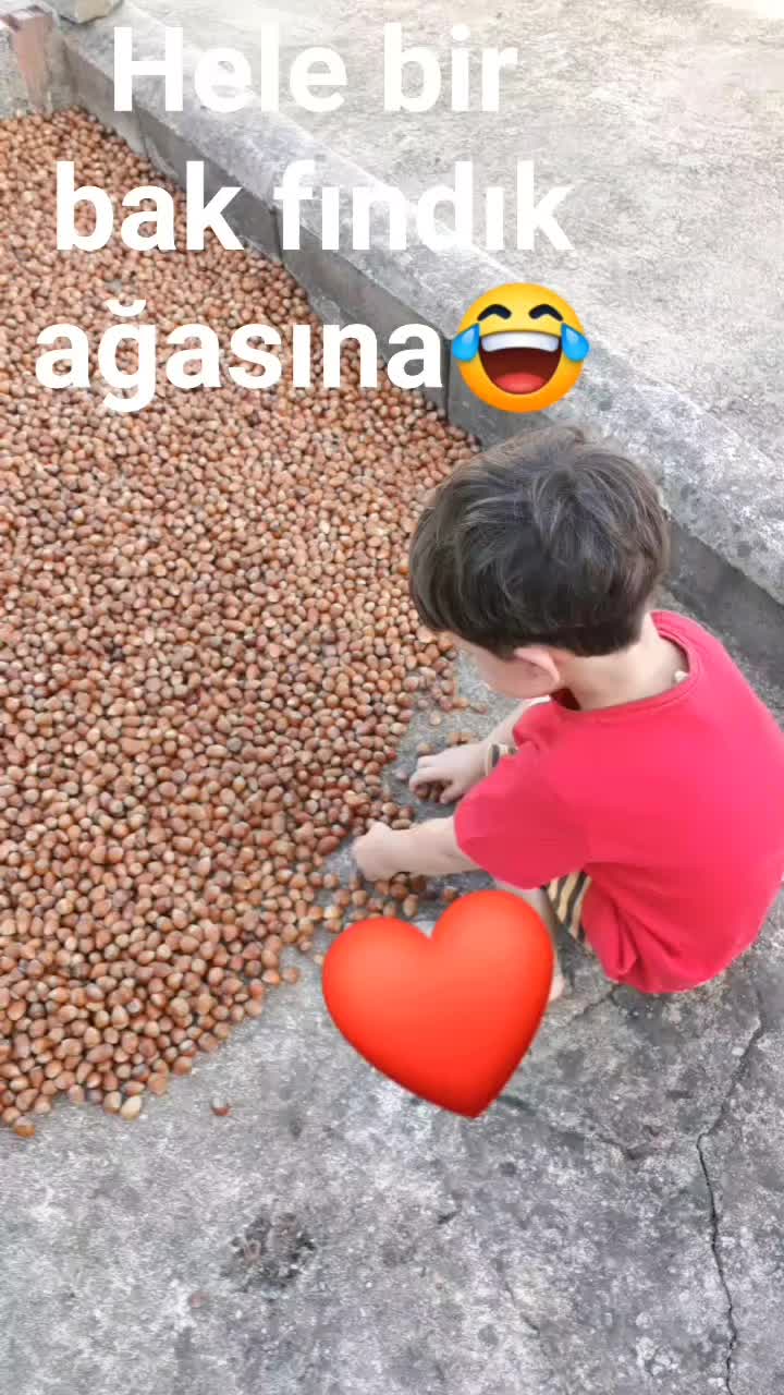 @kimolabilir