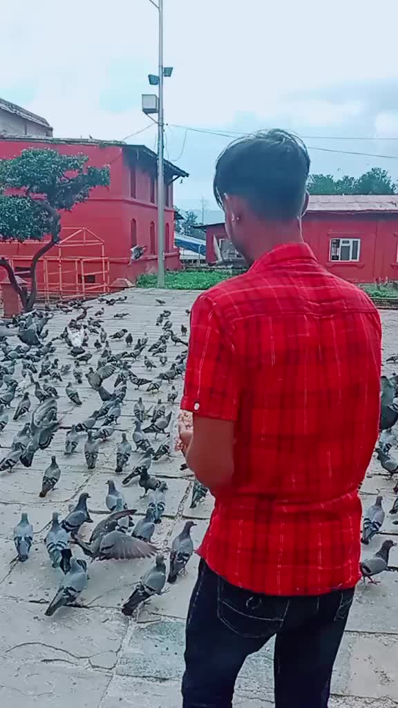 @Yadav 'Sarkar🔥!?