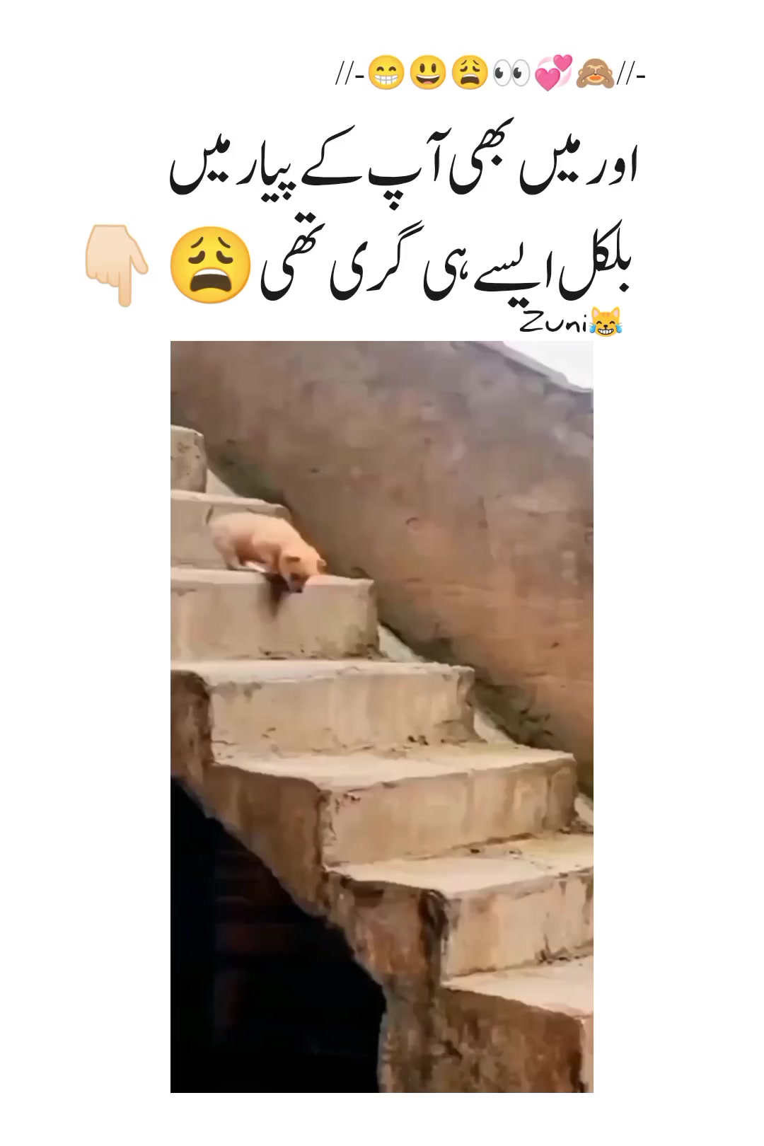 @*&bull;.&cedil;♡زونی✨🌙💗♡&cedil;.&bull;*