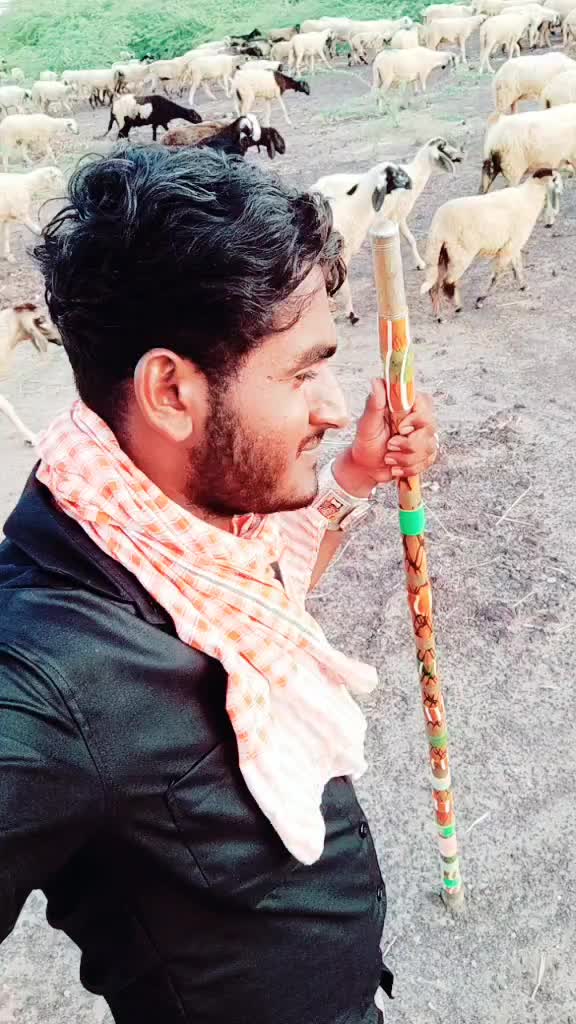 @P K Aal. 105