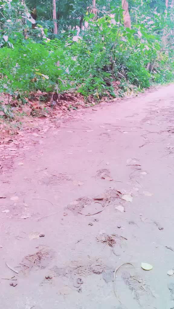 @Ajith Mohanan
