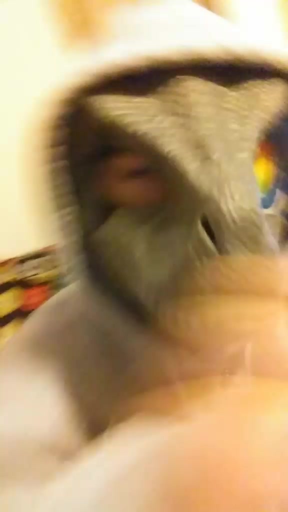 @MuttButt