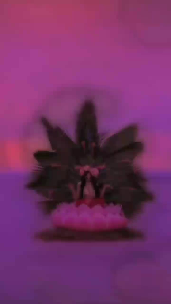 @🖤
