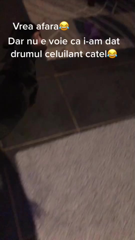 @Sophia Diamond🐶