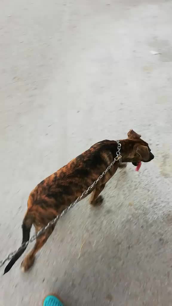 @Fırat Koca