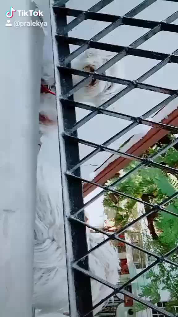 @pralekya❄️