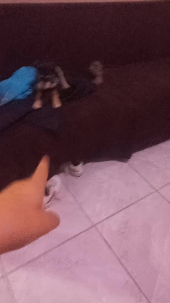 @editsdetodo