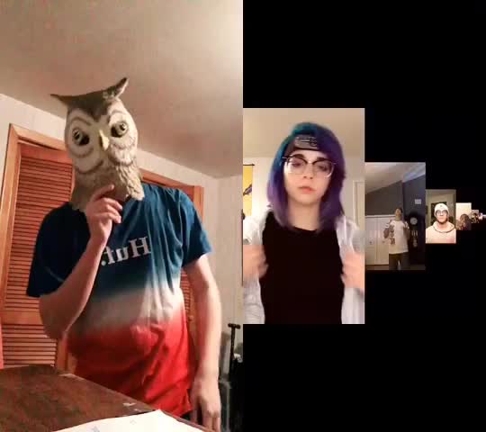 @Owl-Kun