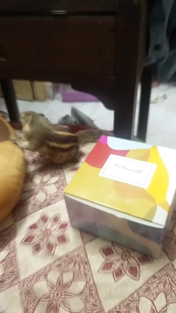 @ramya129