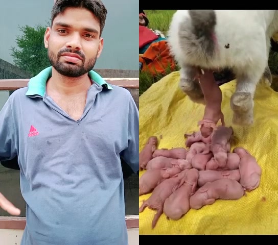 @Rahul Puri