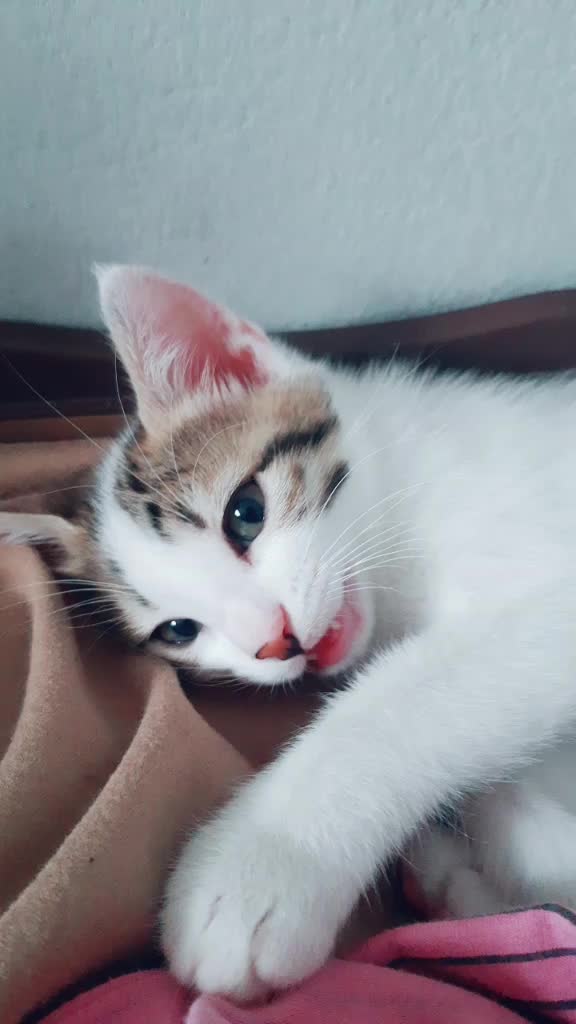 @Melek_uğur 01