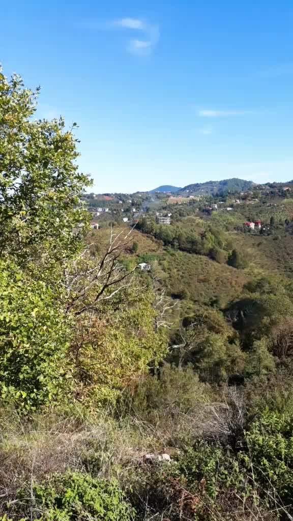 @tuğba6105