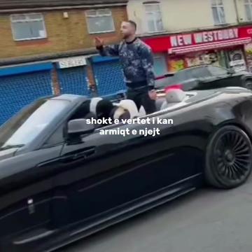 @🐅